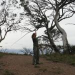 yrtleford - Avventura con il 4x4 sul mt. buffalo national park.